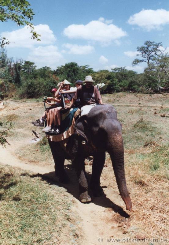 Elefantensafari 4 